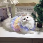 Pet Cat Clothes Dog Lace Mesh Dress - Image 6