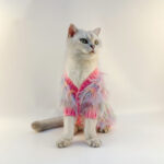Japanese And Korean Pet Expensive Sweater Cardigan - Image 8