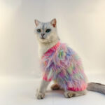 Japanese And Korean Pet Expensive Sweater Cardigan - Image 10