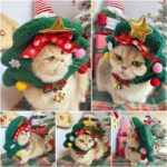 Pet Christmas Headgear Cat Dog Christmas Hat - Image 6