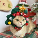 Pet Christmas Headgear Cat Dog Christmas Hat - Image 7