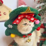Pet Christmas Headgear Cat Dog Christmas Hat - Image 8