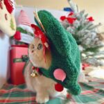 Pet Christmas Headgear Cat Dog Christmas Hat - Image 10