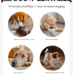 Hidden Food Consumption Physical Dog Food Leakage Educational Toys - Image 9