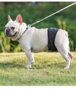 Sterilization Menstrual Panties Anti-harassment Male Dog Diaper Pants Bellyband - Image 8