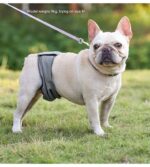 Sterilization Menstrual Panties Anti-harassment Male Dog Diaper Pants Bellyband - Image 9