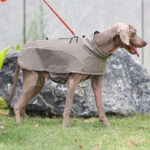 Outdoor Soft Shell Jacket Dog Clothes - Image 10
