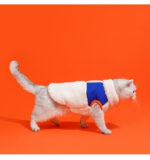 Winter Warm Pet Kitten Turtleneck Zipper Velvet Vest Winter Cold Vest - Image 10