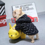 Alphabet Lamb Fleece Warm Zipper Hoodie Dog Clothes - Image 8