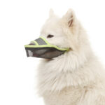 Breathable Mesh Mask That can Bite Bark and Chew Dogs - Image 5