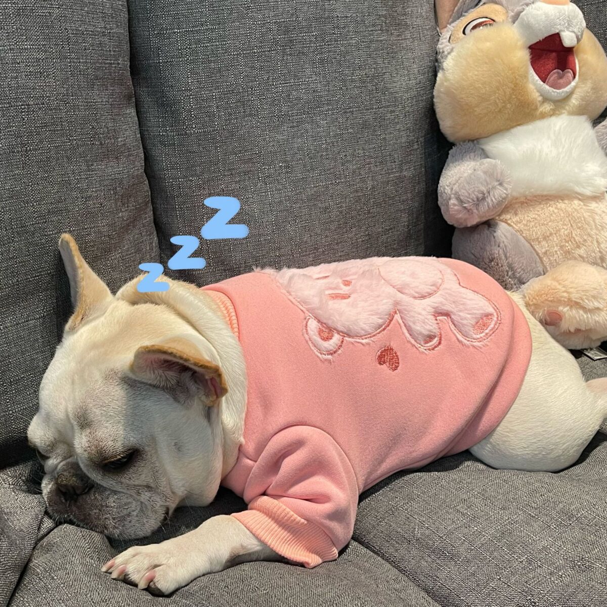 Pet Clothes Dog Plush Princess Sweater - Image 3