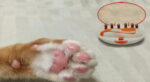 Electric Manicure, pet nail sharpener - Image 5