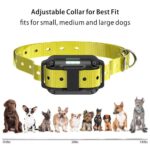 Electronic stop collar - Image 2