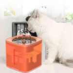 Automatic circulation of filter element of pet water dispenser - Image 2