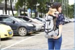 Ventilated And Breathable Pet Backpack - Image 8