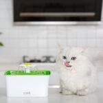 Cat filter drinking fountain - Image 3