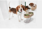 Pet cat and dog camping bowl - Image 5