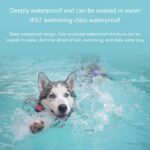 Smart pet locator - Image 3