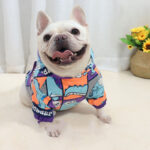 Jarre Aero Bull Winter Fleece-lined Sweater Little Dinosaur Hooded Dog Clothes Fat Dog Short Body Thickened Warm Bulldog Winter - Image 4