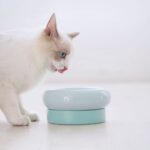 Ceramic cat food bowl - Image 2