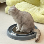 Cat Scratching Board Cat Ball Track Cat Scratchers For Indoor Cats Cat Ball Toy Cat Toys For Bored Indoor Cats For Kitten Mental Physical Exercise With Spare Ball To Prevent Loss - Image 7