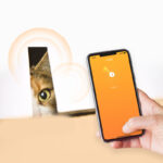 Pet Smart Wearable Bluetooth Device Cat Brand Dog Brand - Image 4