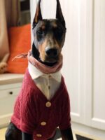 Cardigan fake two big dog clothes - Image 2