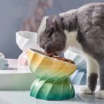 Cat bowl ceramic non-slip food bowl rice bowl - Image 2