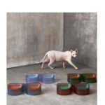 Large Capacity Anti-overturning Cool Color Double Bowl - Image 3