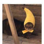 Creative design banana pet hat - Image 3