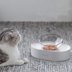 Adjustable Stainless Steel Pet Dog Cat Double Bowls Anti-Slip - Image 9