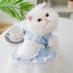 Thin Cat Princess Dress Two Feet Dog Pet - Image 3
