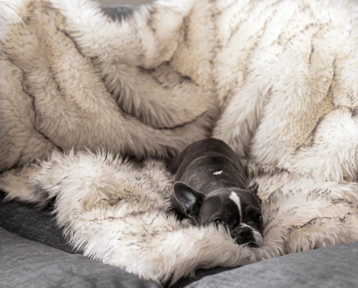 Fox Fur Waterproof Plush Dog House Plush Blanket Pet Nest - Image 2