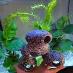 Fish Tank Stone View Decorative Landscaping Fish And Shrimp House Breeding - Image 5