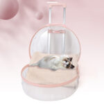 PC Pet Trolley Cat Bag Fully Transparent Reinforcement - Image 3