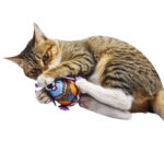 Cat Mint Colorful Mouse Plush Mouse Cat Toy Bell Funny Cat Pet Supplies 15 Boxed - Image 2