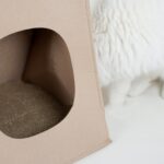 Enclosed Warm All-weather Cat House - Image 4