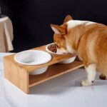 Ceramic dog bowl on bamboo table - Image 4