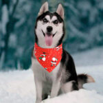 Pet christmas saliva towel - Image 5