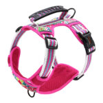 Small Medium And Large Dog Pet Leash Chest Harness - Image 3