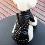 Autumn and Winter Pet Fashion Leather Clothing - Image 3
