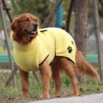 Soft And Absorbent Pet Embroidered Bathrobe Coral Fleece Pajamas - Image 4