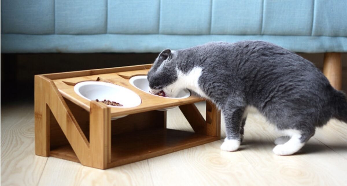 Cat bowl wooden dish rack - Image 3