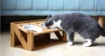 Cat bowl wooden dish rack - Image 3