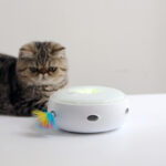Electric feather cat ticker - Image 5