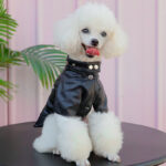 Autumn and Winter Pet Fashion Leather Clothing - Image 2