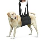 Dog leash auxiliary belt - Image 2