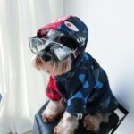 Thick warm sweater pet clothes - Image 2
