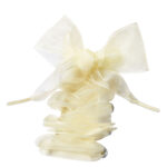 Creative Versatile Solid Color Transparent Lace Shoelaces - Image 3