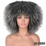 African Small Curly Hair Afro Wig Headgear - Image 6
